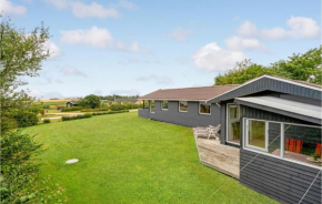 3 Bedroom Stunning Home In Snedsted